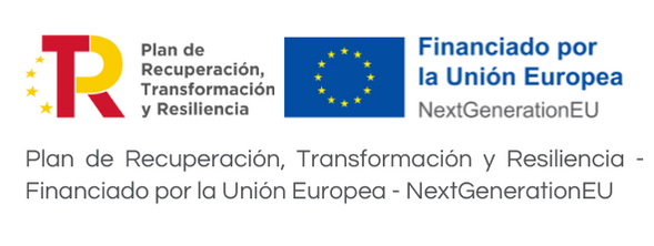Declaración de financiación Kit Digital